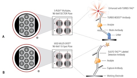 MSD Multiplexing Technology